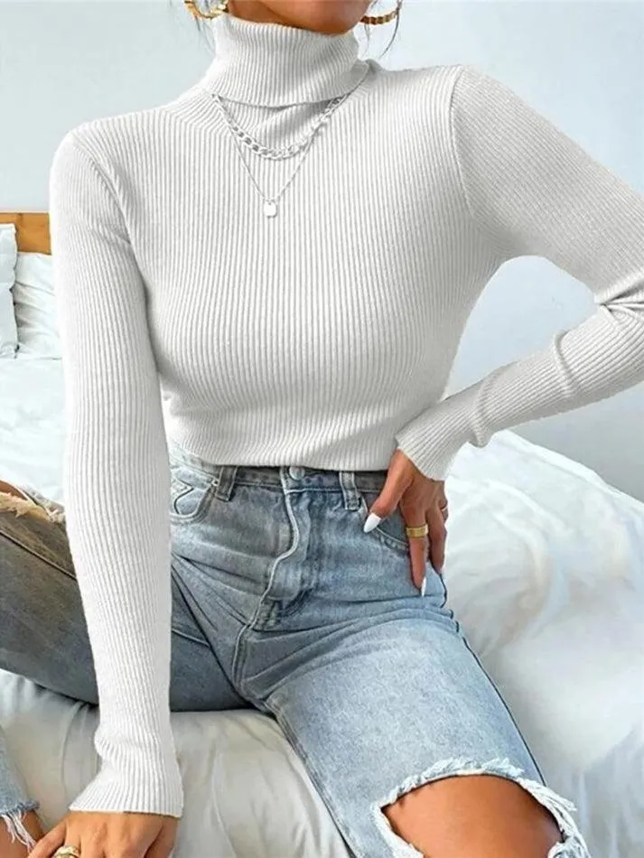 Joskaa Turtleneck Ribbed Knit Sweater
