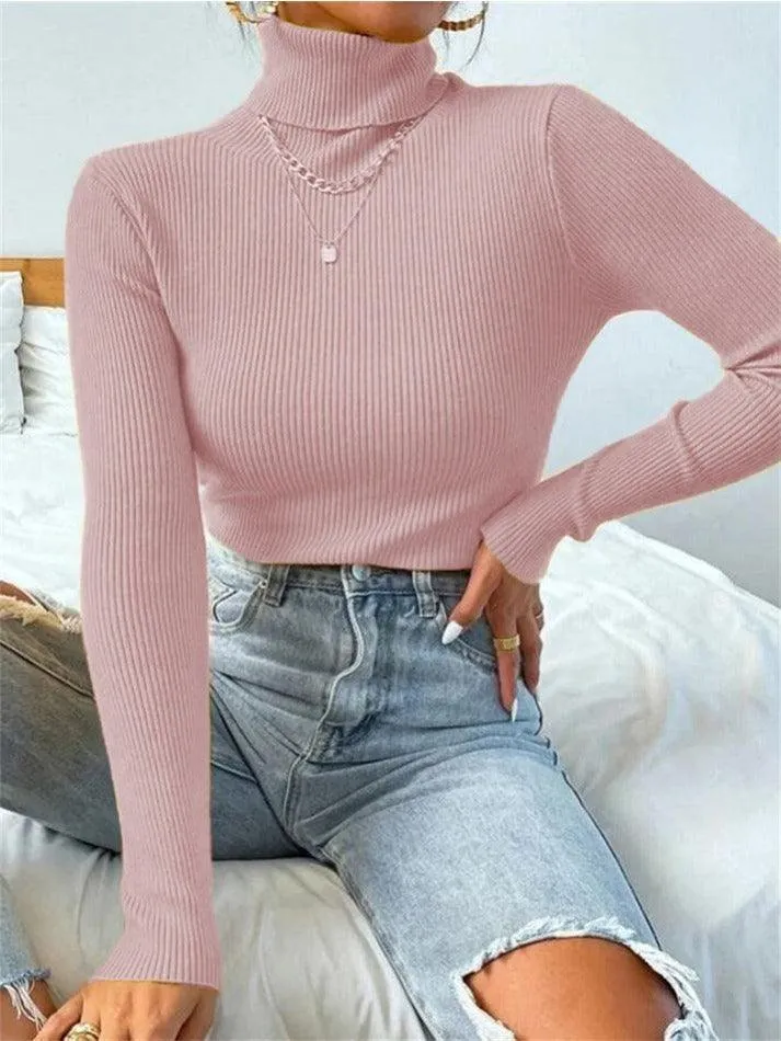 Joskaa Turtleneck Ribbed Knit Sweater