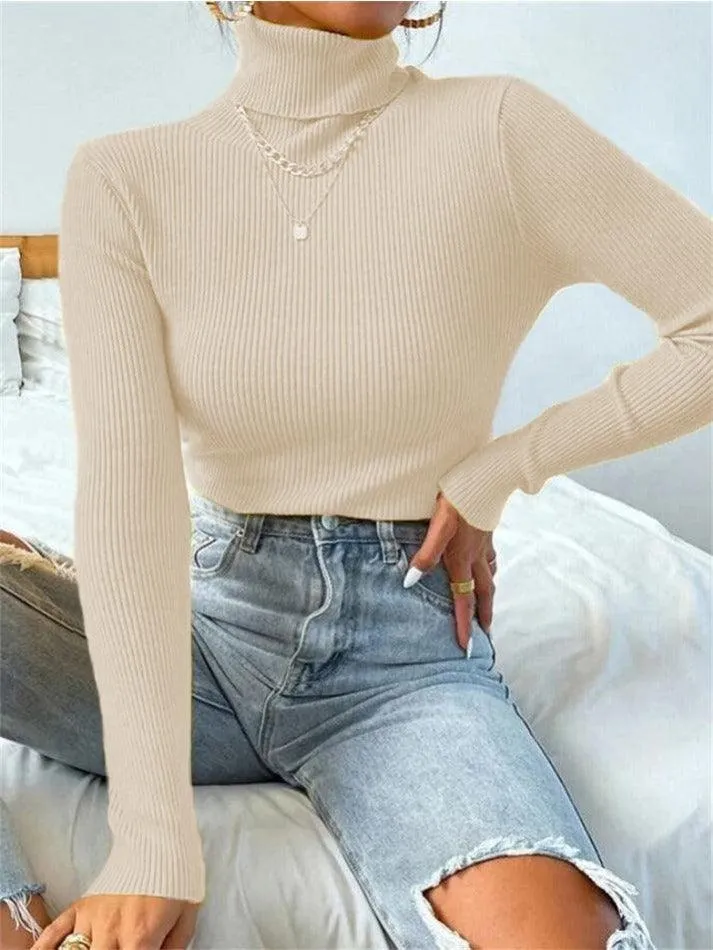 Joskaa Turtleneck Ribbed Knit Sweater